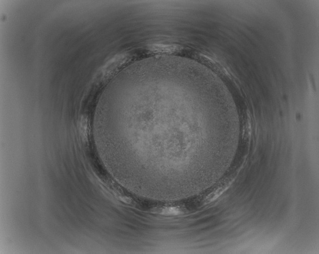 X0000078860647200611131204