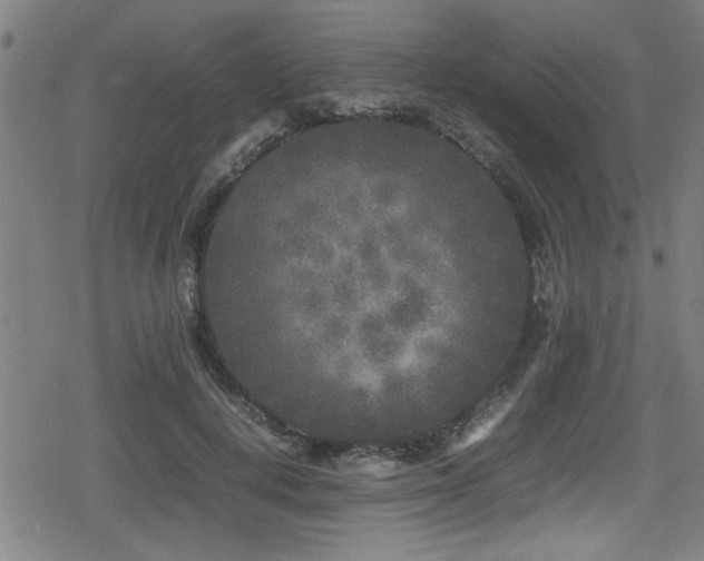 X0000078860648200611131204