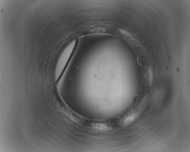 X0000078860649200611131204