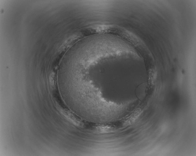 X0000078860650200611131204