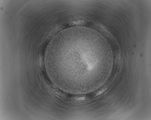 X0000078860651200611131204