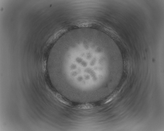 X0000078860652200611131204