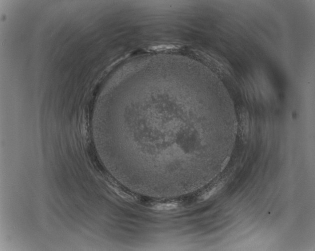 X0000078860653200611131204