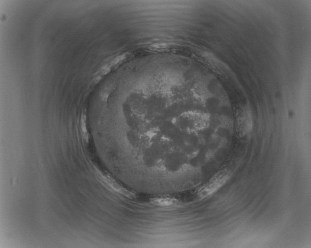 X0000078860654200611131204