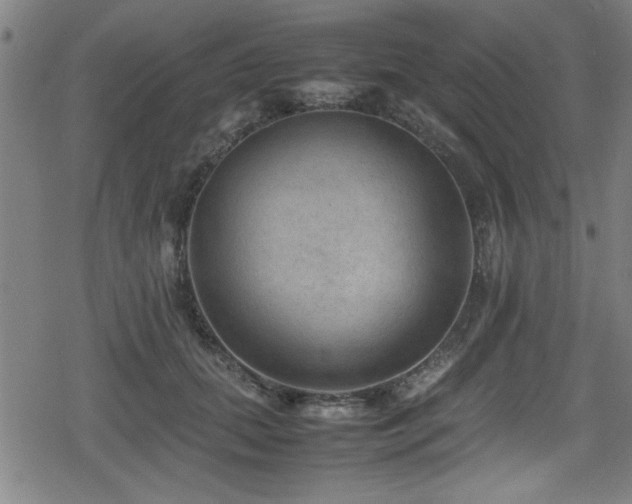 X0000078860655200611131204