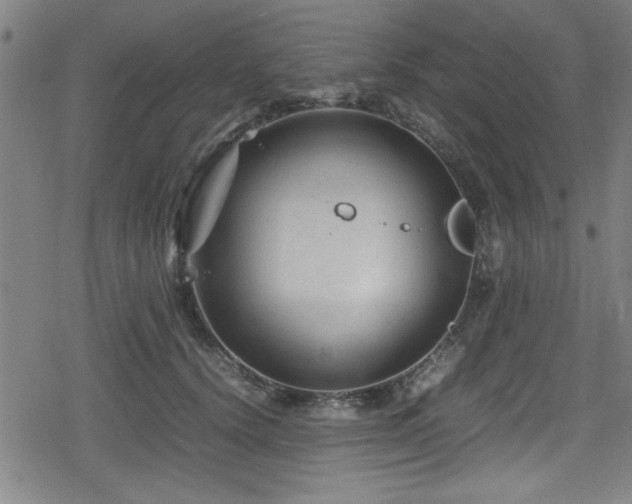 X0000078860656200611131204