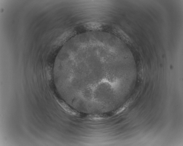 X0000078860658200611131204