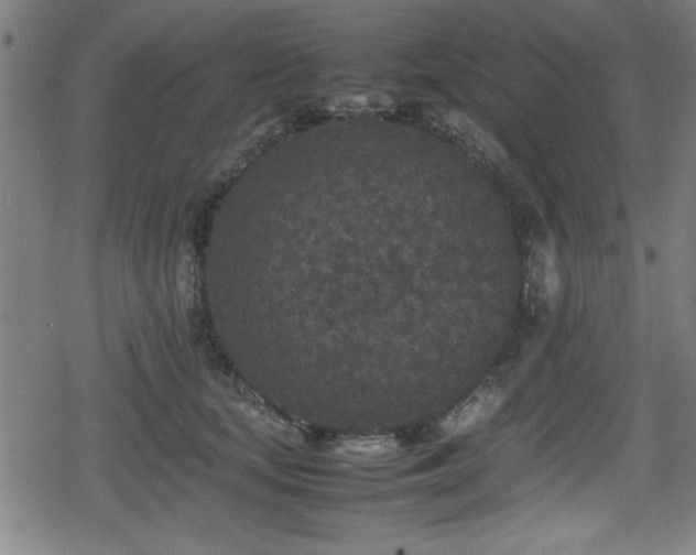 X0000078860659200611131204