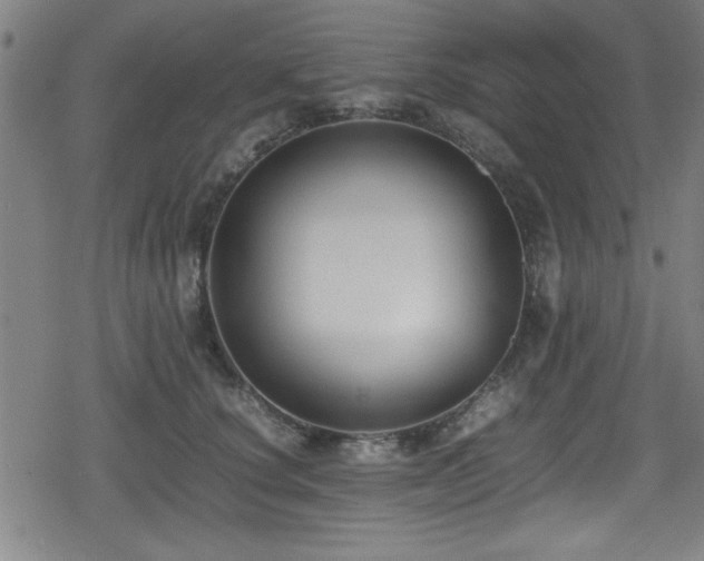 X0000078860660200611131204