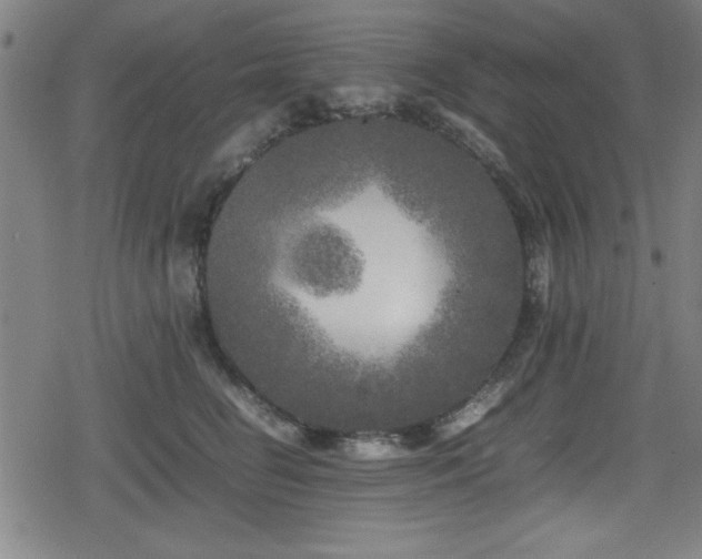 X0000078860662200611131204