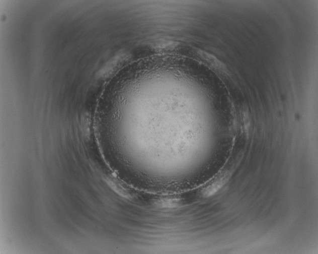 X0000078860664200611131204