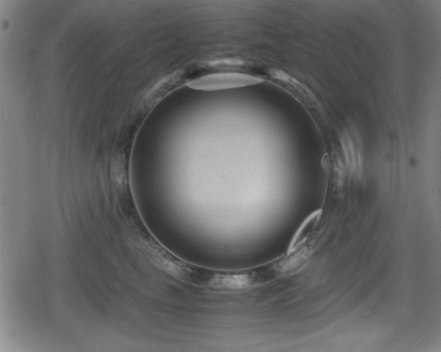 X0000078860665200611131204