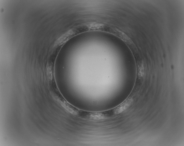 X0000078860666200611131204