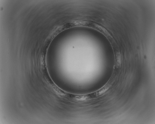 X0000078860667200611131204