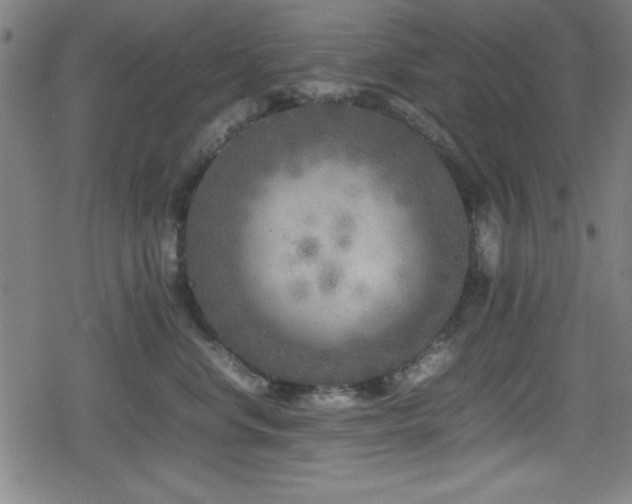 X0000078860668200611131204