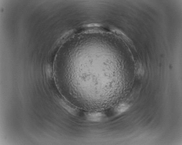 X0000078860669200611131204