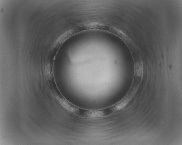 X0000078860670200611131204