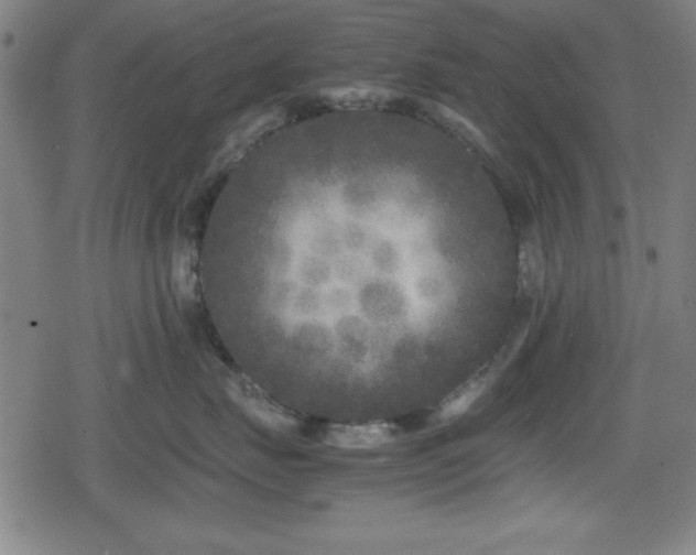 X0000078860671200611131204