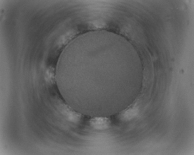 X0000078860672200611131204