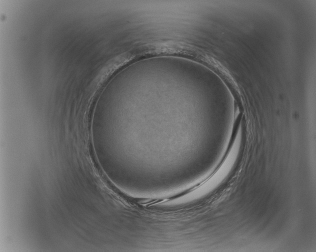 X0000078860673200611131204