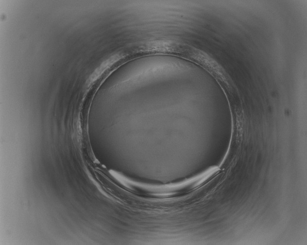 X0000078860674200611131204