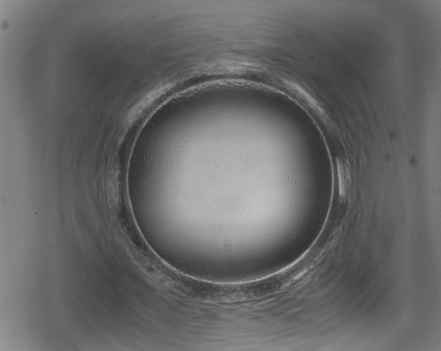 X0000078860675200611131203