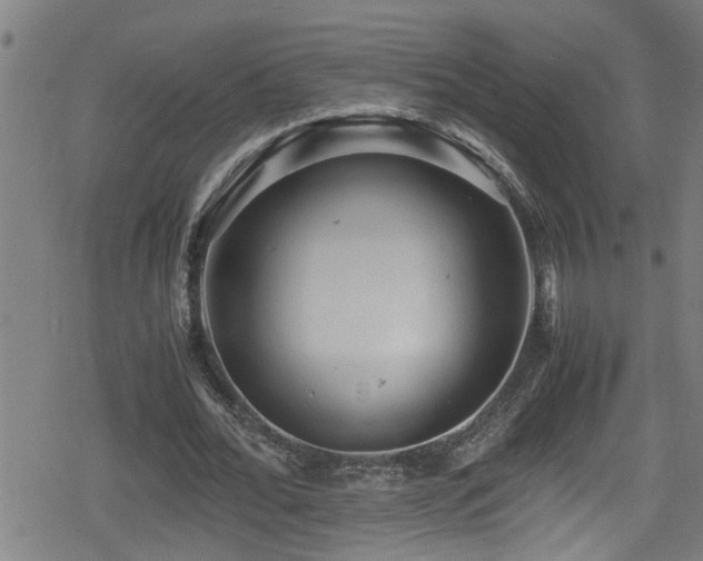 X0000078860676200611131203