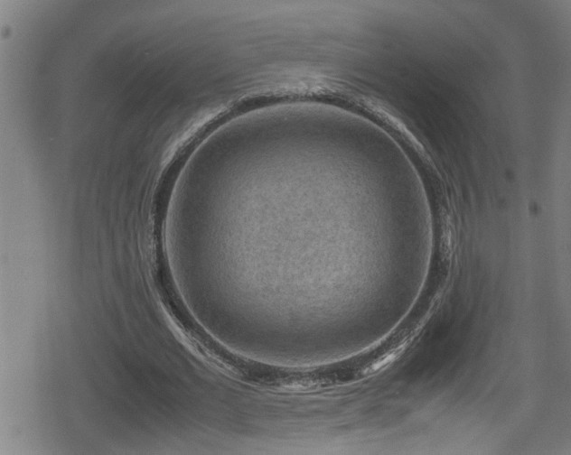 X0000078860677200611131203