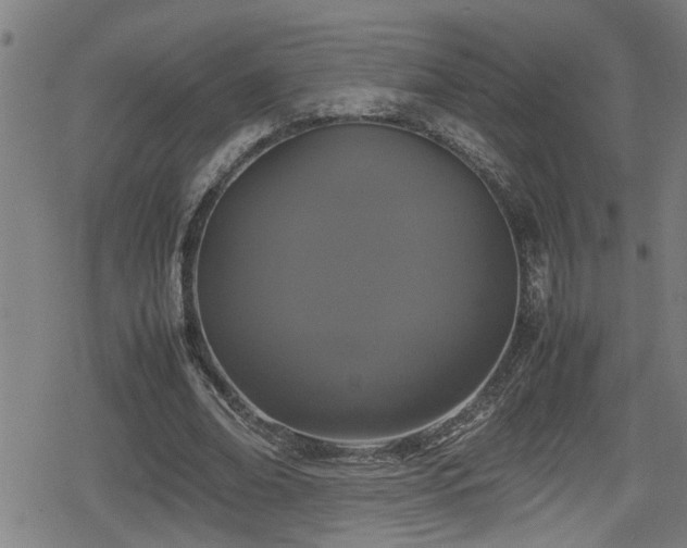 X0000078860678200611131203