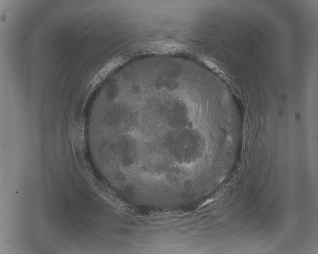 X0000078860679200611131203