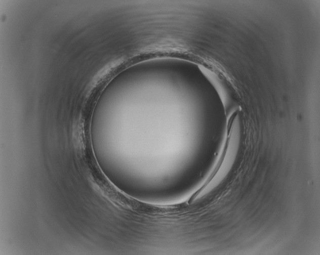 X0000078860680200611131203