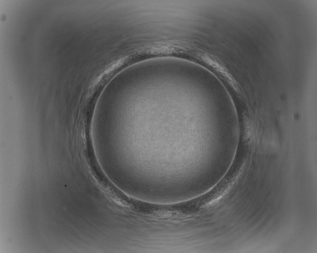 X0000078860681200611131203