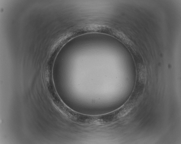 X0000078860683200611131203