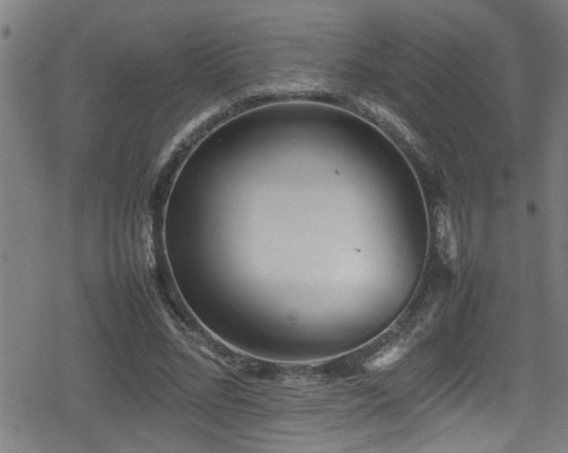 X0000078860684200611131203