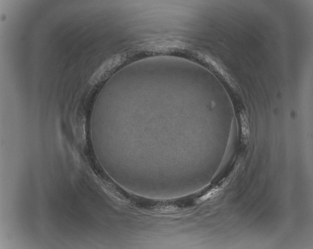 X0000078860685200611131203