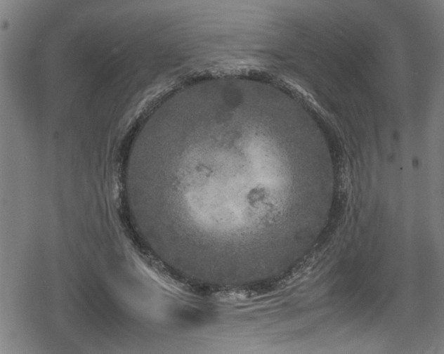 X0000078860687200611131203