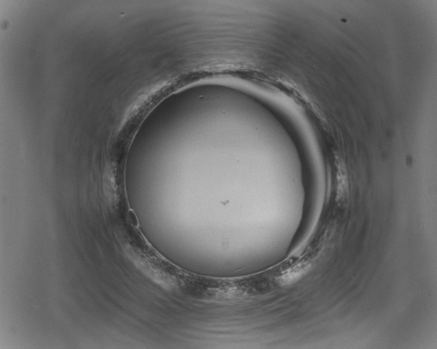 X0000078860688200611131203