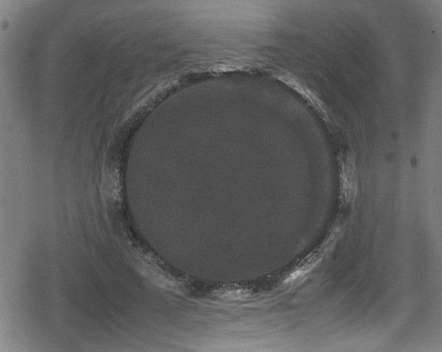 X0000078860689200611131203