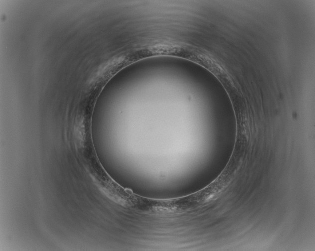 X0000078860690200611131203