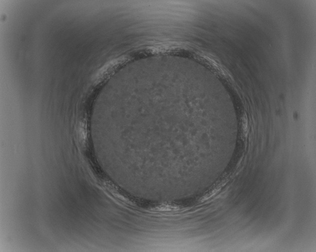 X0000078860691200611131203