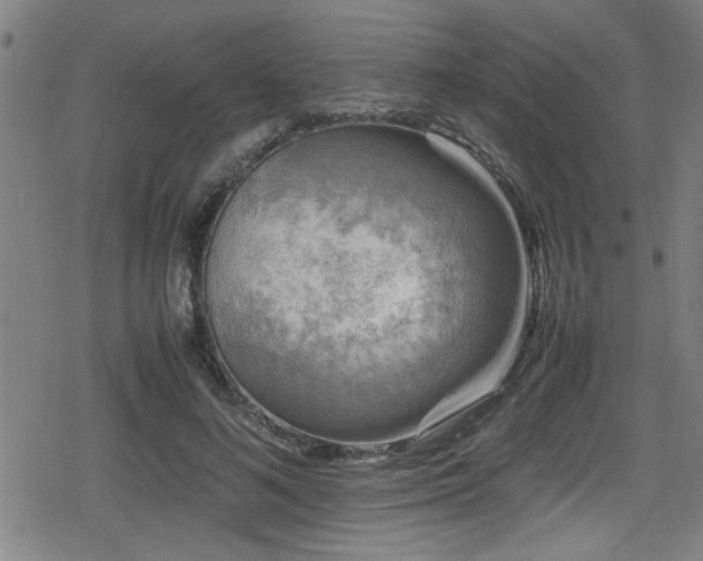 X0000078860692200611131203