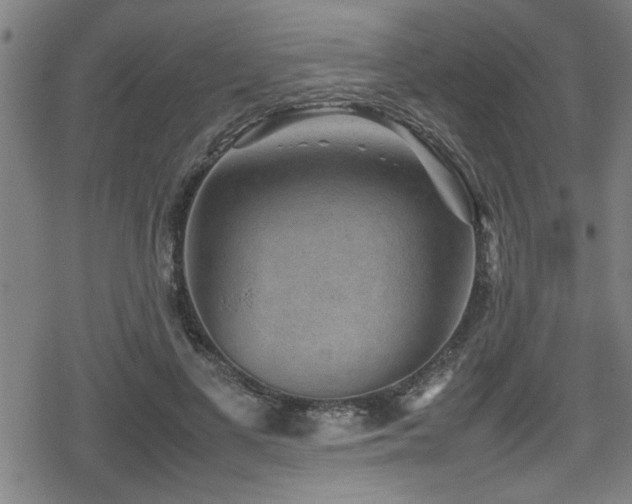 X0000078860693200611131203