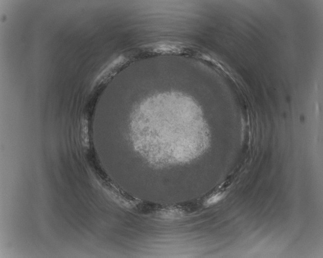 X0000078860696200611131203