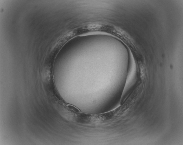 X0000078860697200611131203