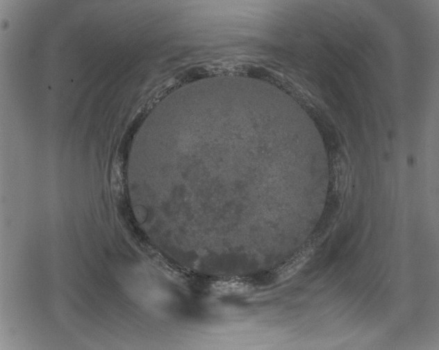 X0000078860699200611131203