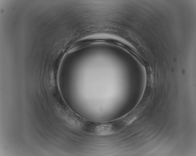 X0000078860700200611131203