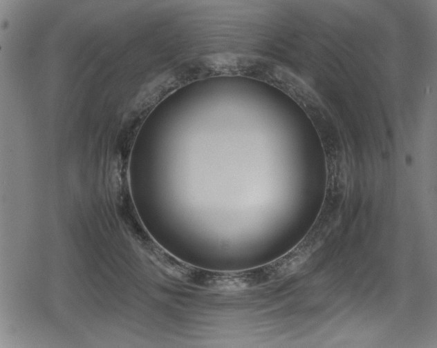 X0000078860702200611131203