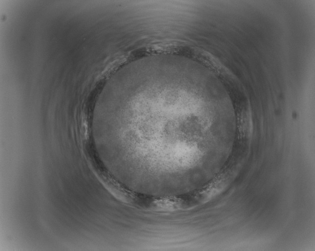 X0000078860703200611131203