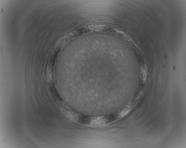 X0000078860705200611131203