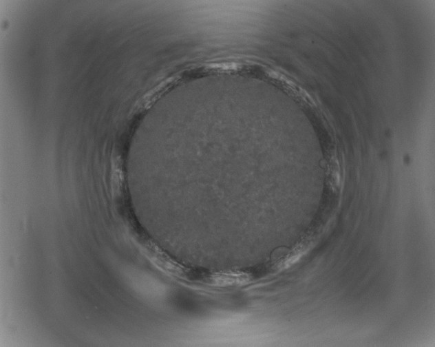 X0000078860707200611131203